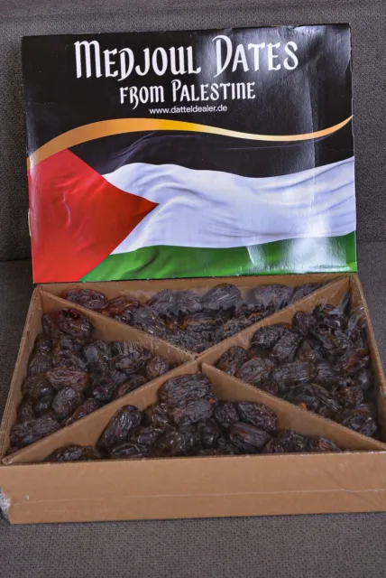 5KgPaket Medjoul Datteln -  Größe Datteln   /Palestina Spezial