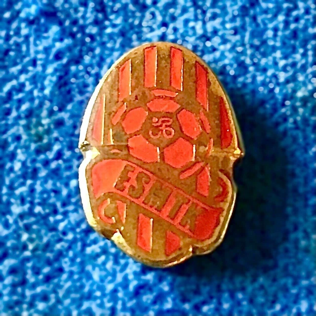 Vintage 60'S Mtk Budapest Hongrie Football Émail Broche Bâton