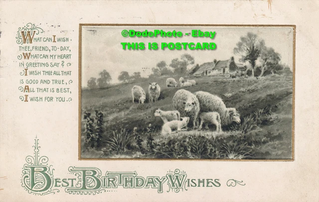 R420180 Best Birthday Wishes. Sheep in meadow. Wildt and Kray. Series 2407