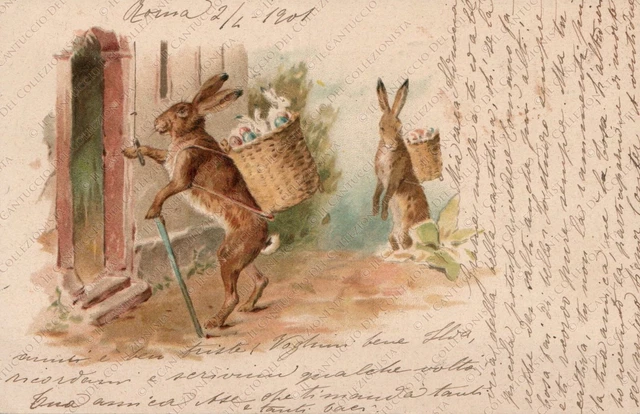 1901 Buona Pasqua Conigli pasquali Cartolina augurale