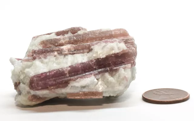 330ct Colonnaire Rose Tourmaline Brute Naturel Rubellite Gemme Minérale S Africa