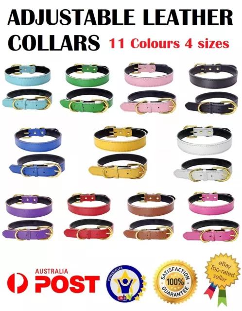 Leather Collar Cat Kitten Dog Puppy Pet Adjustable 11 colours 4 Sizes