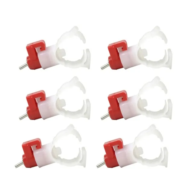 10 Pcs Chicken Drinker Waterer Cup Quail Pigeon Feeder Automatic Poultry