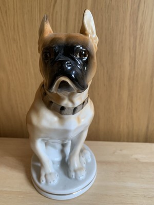 lomonosov bulldog