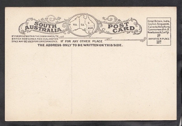THE BOTANIC GARDENS, ADELAIDE postcard Unused 2