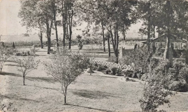 Cabin Cottage Rockome Gardens Arcola Illinois IL Amish Theme Park c1940 Postcard