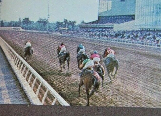 Horse Racing Sports Matchbook Matchcover: 1971 Blue Bonnet (Montreal Quebec) E13 2
