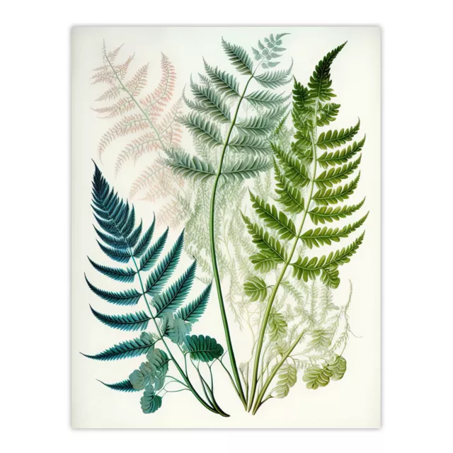 Elegant Fern Fronds Foliage Green Teal Pink Bright Nature Wall Art Poster Print