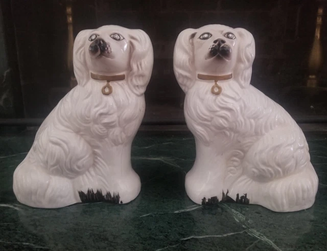 King Charles Porceline Dogs White