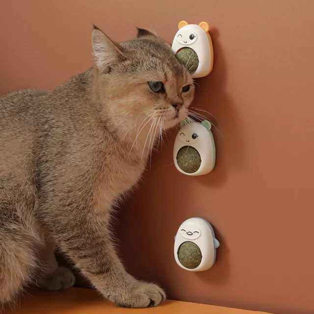 1Pcs Cat Catnip Toys Ball Cat Treats Candy Licking Snacks Nutrition Catnip Snack
