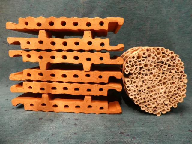 Set 6 Tonziegel + Schilf je 12 cm Bruthülsen Zubehör Wildbiene Insektenhotel