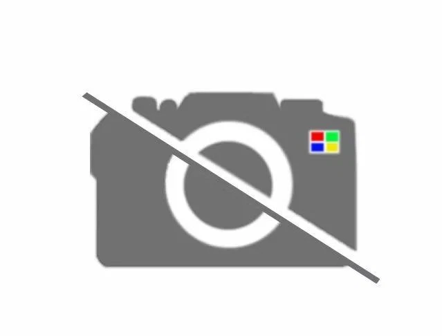 HONDA 5 HOLES Rear Hub Bearing ASSY Integra Type R DC2 DB8 EK9 Genuine ...