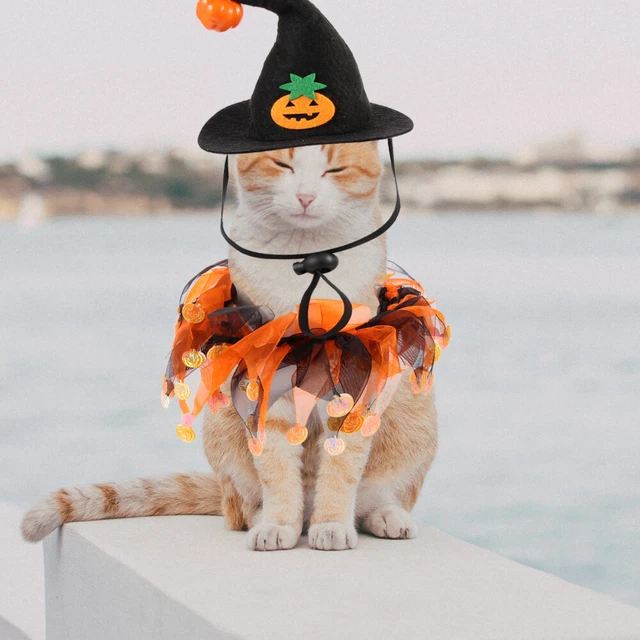 1 Set Halloween Haustierkostüm Lustige Katzenhut Katzenhund Schal Dekorative 5