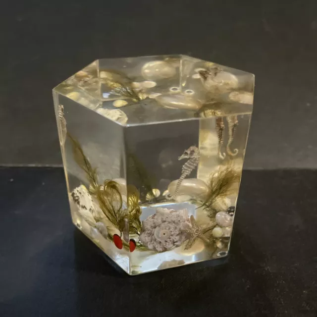 Lucite Clearfloat Paperweight Floating Seahorses Acrylic Sea Theme Vintage