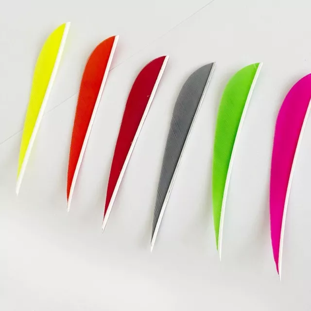 100 Pcs Parabolic Archery Arrow Feather Fletching 4 Inch Real Turkey Vanes 3