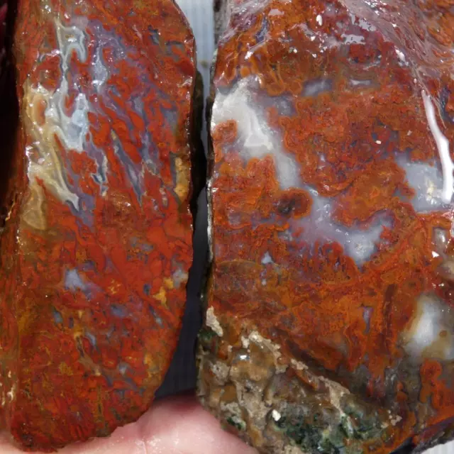 RimRock: 4.10 Lbs MEXICAN RED LIGHTNING AGATE Rough