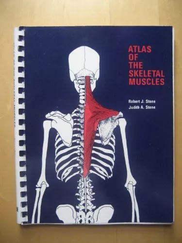 Atlas of the Skeletal Muscles, Stone, Judith A.