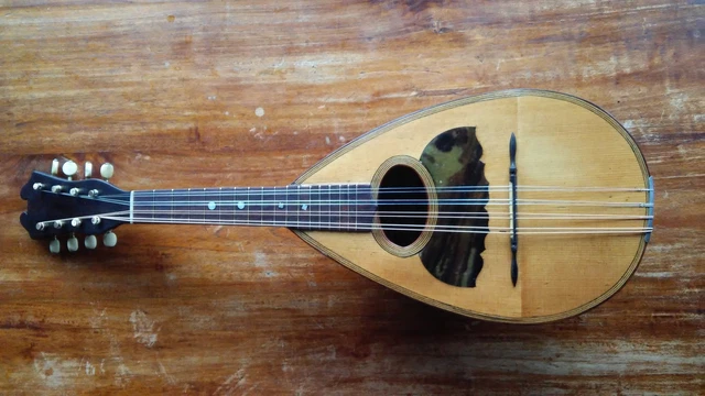 1894 ITALIAN BOWL Back Mandolin By Michele Maratea, Student