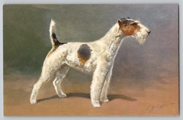 Fox Terrier Dog Artist Signed I Rivst Vintage Antique Postcard Switzerland No 95