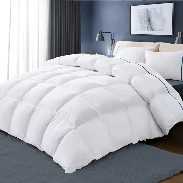 Bedsure Queen Down Comforter Duvet Insert - All Season Goose Down Alternative Co