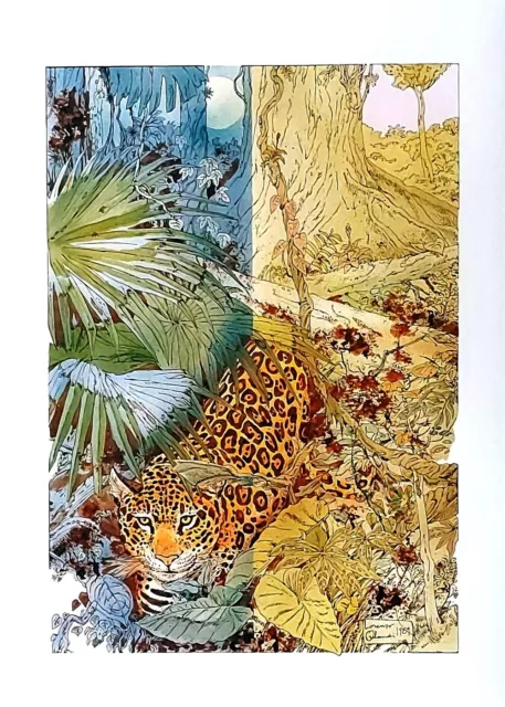 1990 * Poster Illustrazione "Gli Animali, Salvaguardia Amazzonia - Lorenzo Orlan