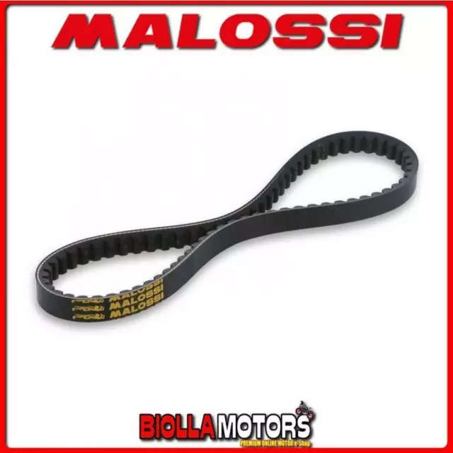 6112735 Cinghia Variatore X Special Belt Malossi Peugeot Speedake 50 2T (Dimensi