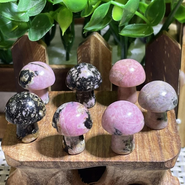 7pcs Natural Rhodonite Quartz Carved Crystal Mushroom reiki Healing Decor A1521