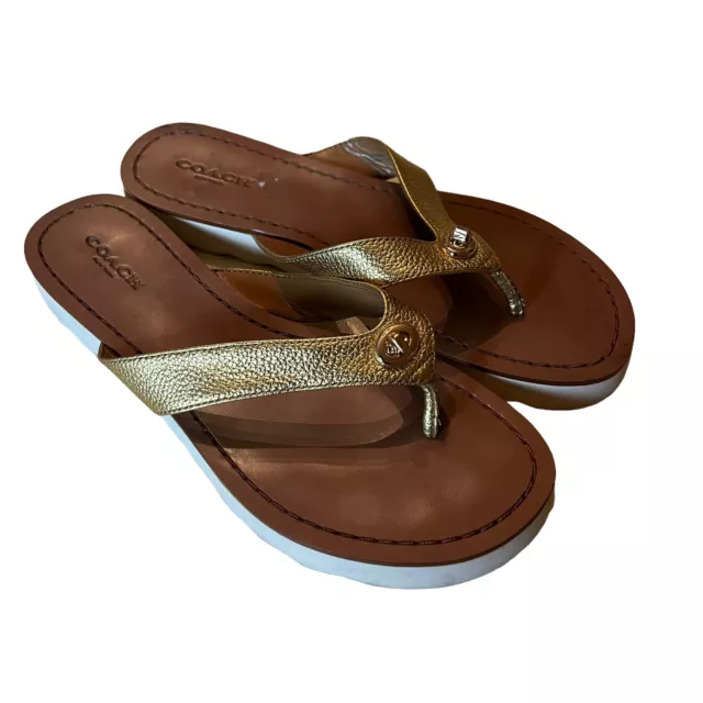 Coach Womens Shelly Leather Slip On Flip Flop Thong Sandals Gold Brown Size 6.5B