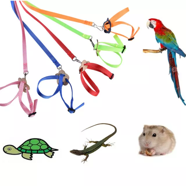 1pc Adjustable Strap Reptile Lizard Gecko Bearded Dragon Pet Harness and Leash