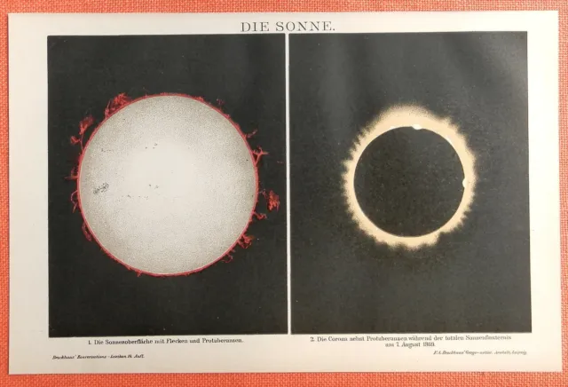 SONNE totale Sonnenfinsternis 1869 Corona Sonnenoberfläche  Lithographie von1895