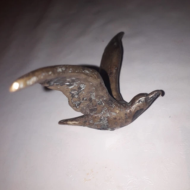 Broche Vintage Mouette En Bakélite - Porte-bonheur Symbole D'immortalité - Laiton Doré