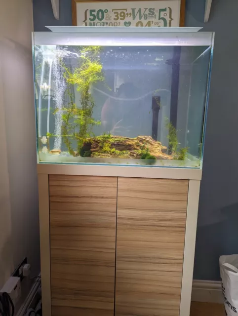 Fluval fish tank with Cabinet, Filter And Heater