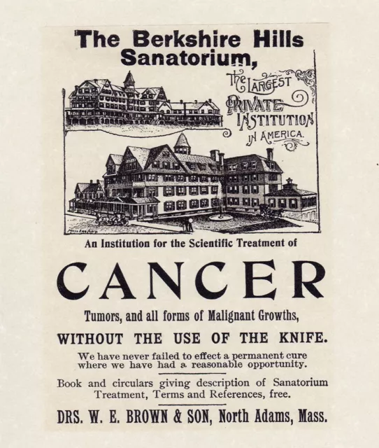 AD BERKSHIRE HILLS SANATORIUM 1898 North Adams, MA 6x9" Reprint Cancer Treatment