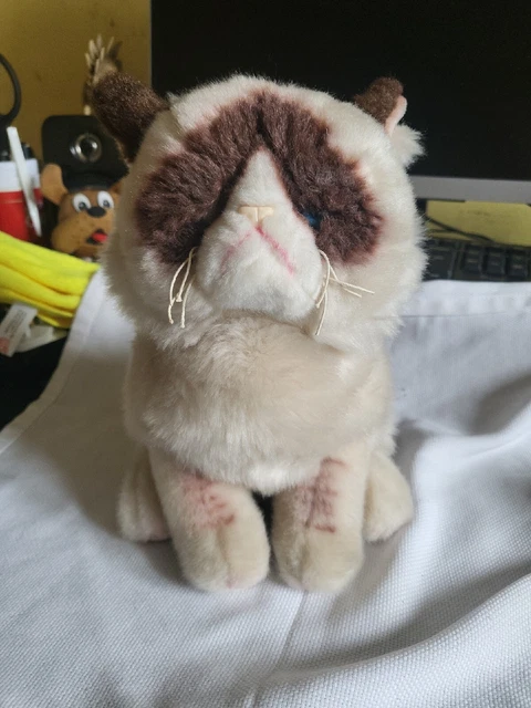 GUND GRUMPY CAT Plush Plushie Teddy Bear Soft Toy Blue Eyes Beige