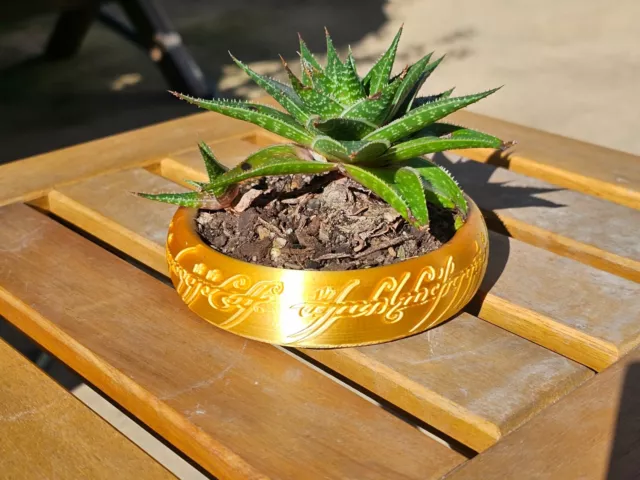 The One Ring Succulent Planter Lord of the Rings Gift LOTR Gandalf
