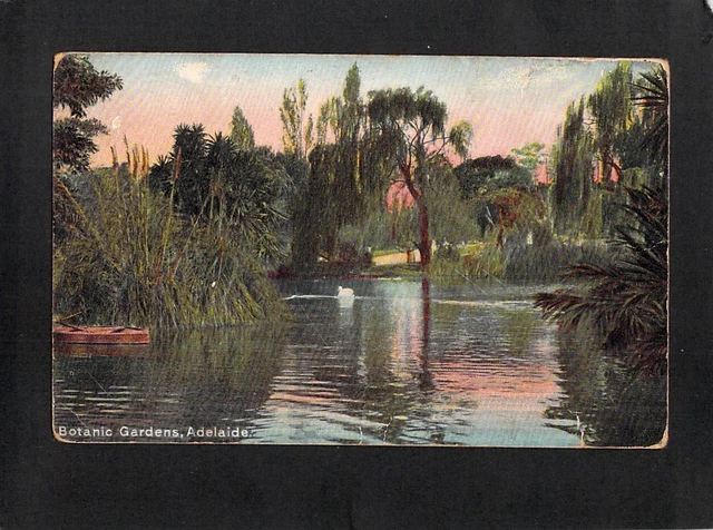 A6563 Australia SA Adelaide Botanic Gardens Pond vintage postcard