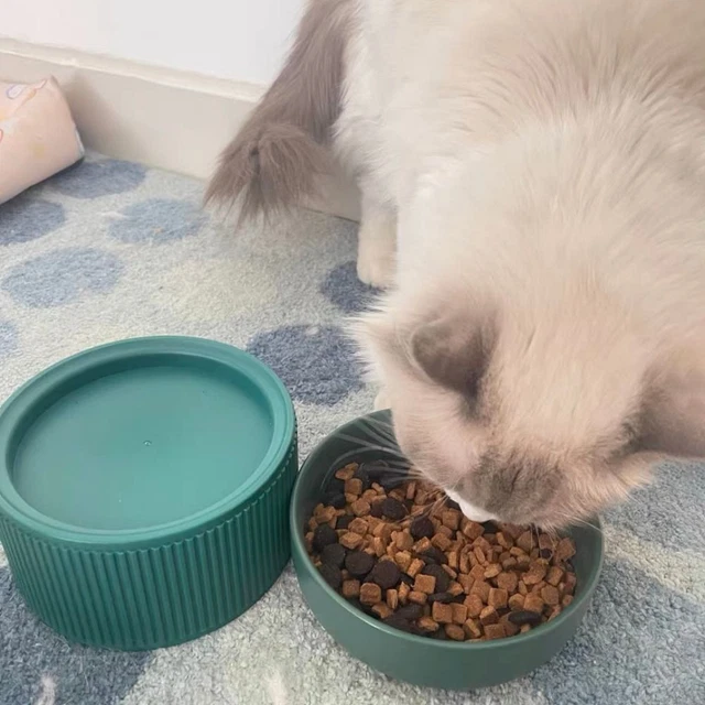 Accesorios para mascotas gatos alimentador de alimentos para gatitos lavabo de alimentos para mascotas tazón de agua tazón para gatos