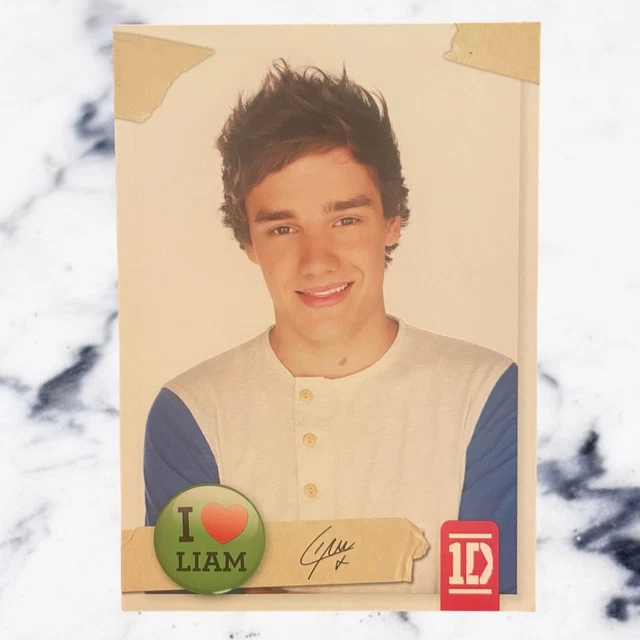 OFFICIAL ONE DIRECTION Trading Card Liam Payne 53 1.50 PicClick