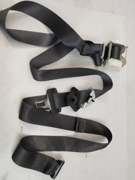 SILVRDO25 2014 Seat Belt Rear 540579
