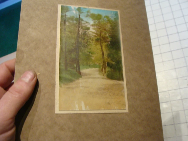 VINTAGE MOUNTED COLORIZED photo postcard of path in trees old,some wear ...