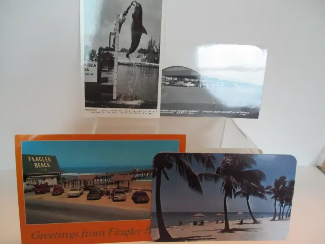 Assorted Points of Interest Old Postcards from Florida, USA  Set of 17