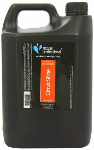 New Citrus Shine Shampoo 4 Litre Citrus Shine Shampoo Features Citr High Qualit