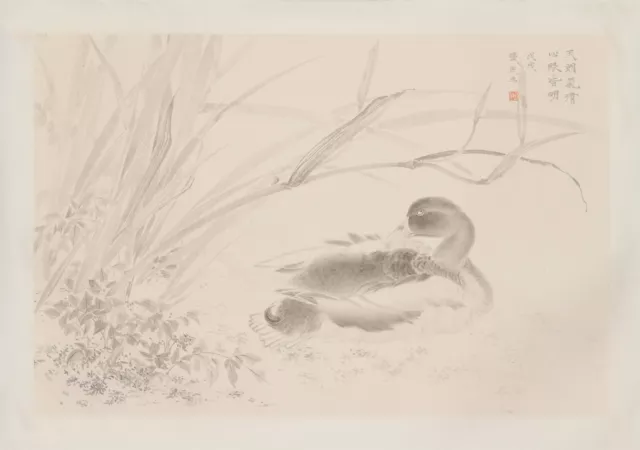 Vintage  Traditional Chinese  art ink meticulous  painting “天朗气清 心眼皆明”张民生 工笔花鸟画
