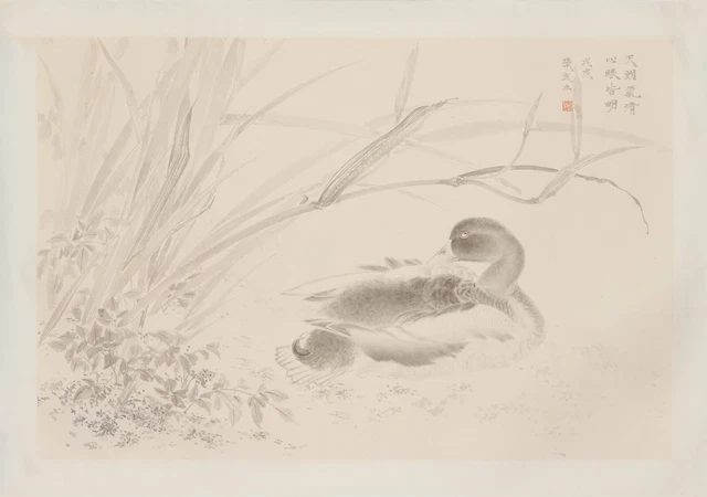 Vintage  Traditional Chinese  art ink meticulous  painting “天朗气清 心眼皆明”张民生 工笔花鸟画