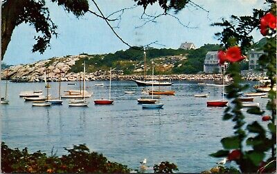 Rockport Harbor From Bearskin Neck Rockport Massachusetts MA c1965 Postcard