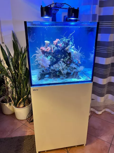 Red Sea Reefer 200 Liter Meerwasseraquarium