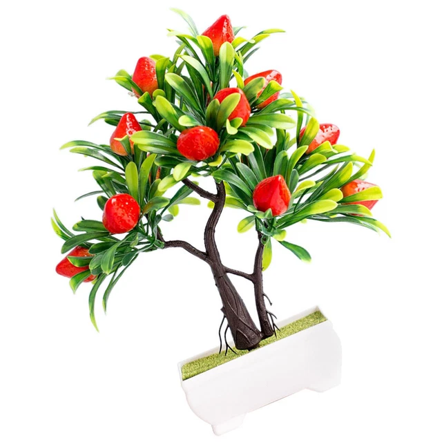 Piantana espositore frutta e verdura