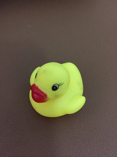 Duck Toy