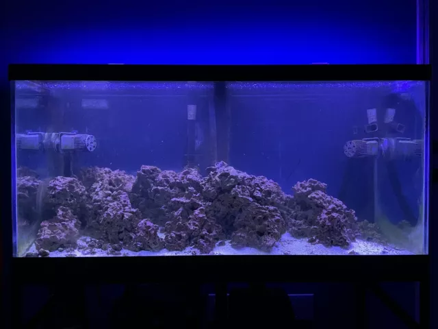 90 gallon Aquarium and Metal Stand