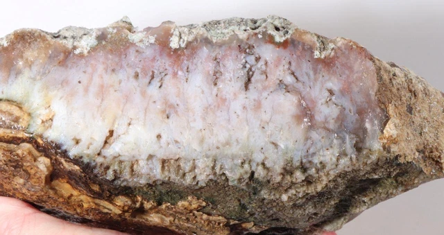 Oregon Nyssa Plume Agate lapidary 8 lb 3 oz  rough